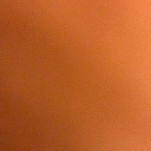 Meet your Posher, Odelia